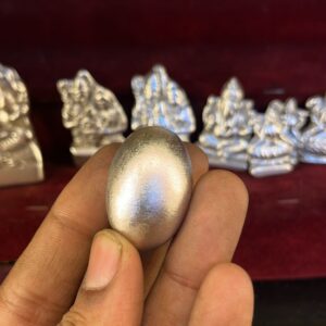 Shaligram Premium