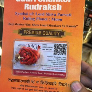 Gauri Shankar Rudraksh